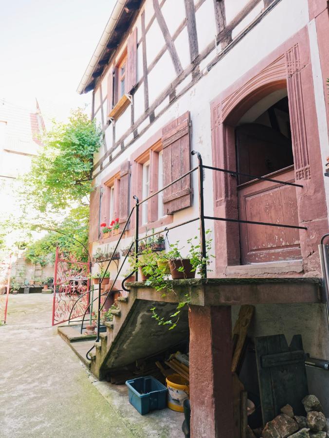 Le Haut Relais Des Seigneurs - 5 Mn Royal Palace De Kirrwiller Bouxwiller  Kültér fotó